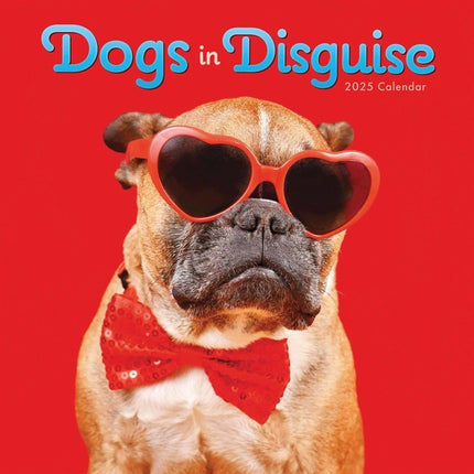 321743-dogs-in-disguise-calendar-main (1)