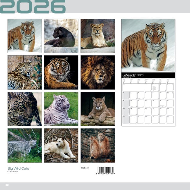 Allaluna Wilde Katten Kalender 2026
