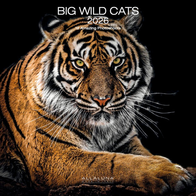 Allaluna Wilde Katten Kalender 2026