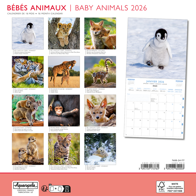 Aquarupella Baby Dieren Kalender 2026