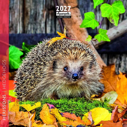 Aquarupella Egel Kalender 2027 Mini