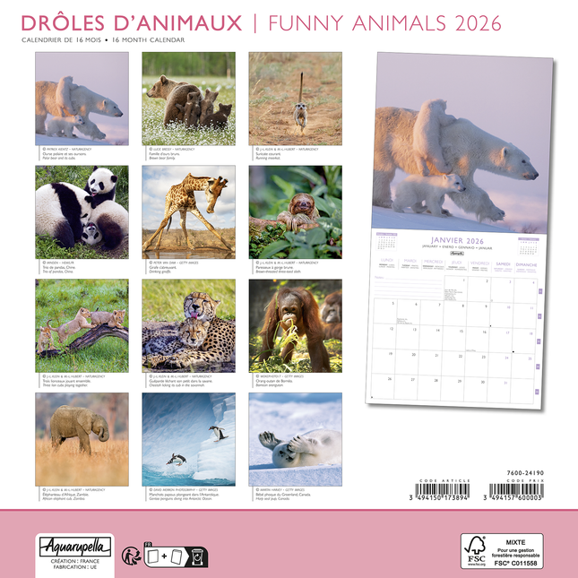 Aquarupella Funny Animals Kalender 2026