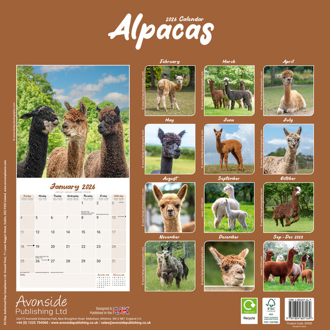 Avonside Alpaca Kalender 2026
