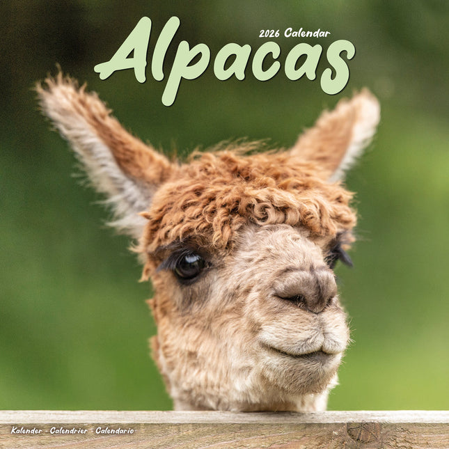 Avonside Alpaca Kalender 2026