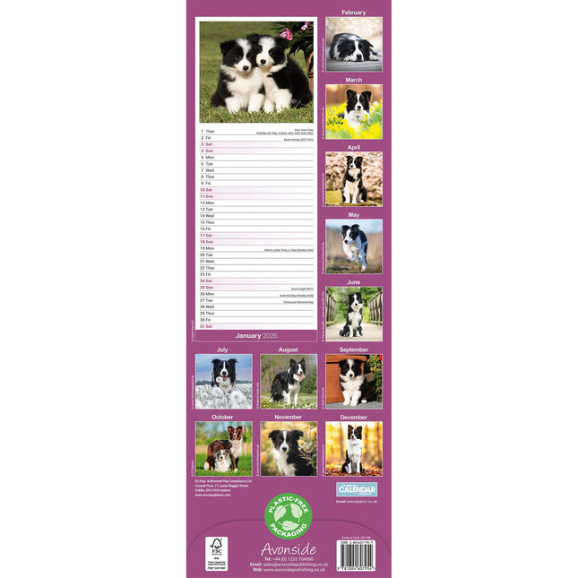 Avonside Border Collie Kalender 2026 Slimline