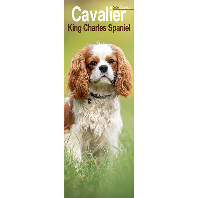 Avonside Cavalier King Charles Spaniel Kalender 2026 Slimline