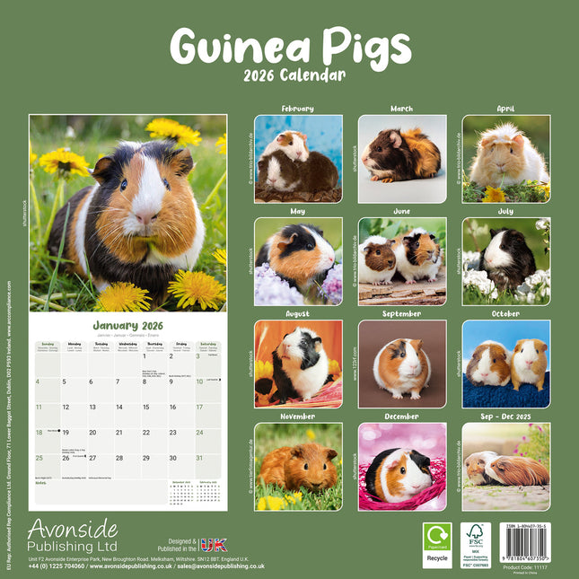 Avonside Cavia Kalender 2026