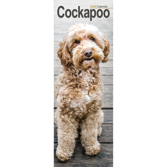 Avonside Cockapoo Kalender 2026 Slimline