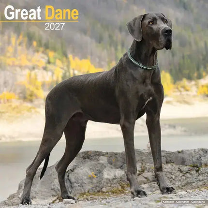 Avonside Duitse Dog Kalender 2027