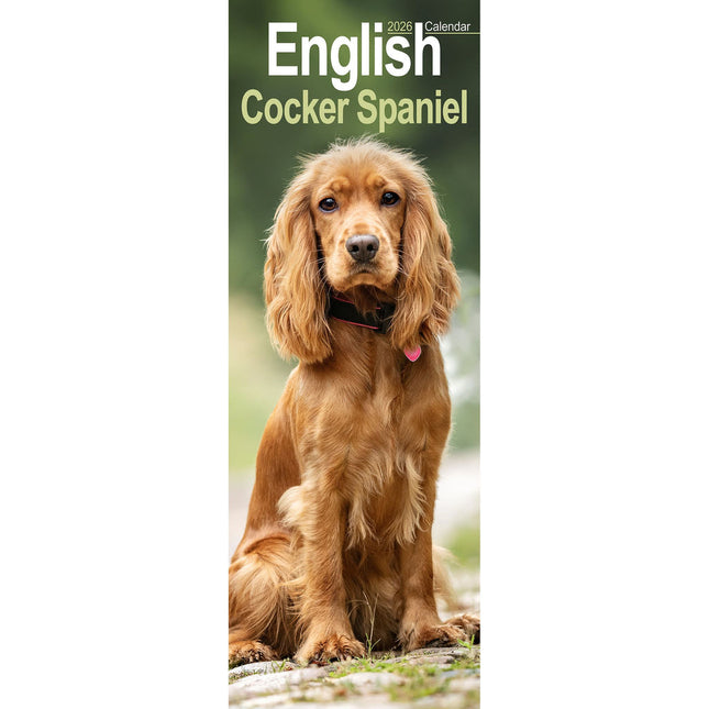 Avonside Engelse Cocker Spaniel Kalender 2026 Slimline
