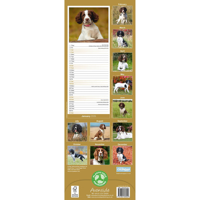 Avonside Engelse Springer Spaniel Kalender 2026 Slimline