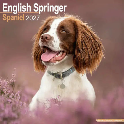 Avonside Engelse Springer Spaniel Kalender 2027