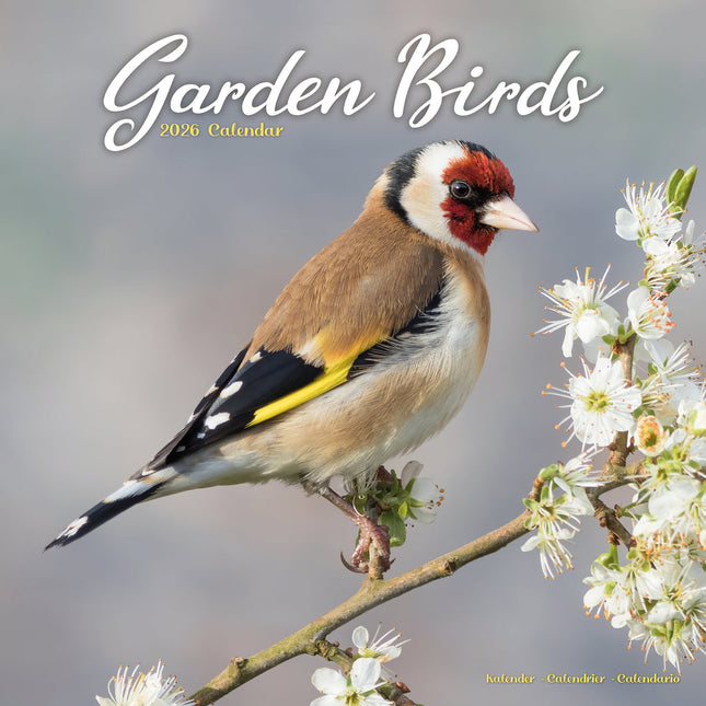 Avonside Garden Birds Kalender 2026