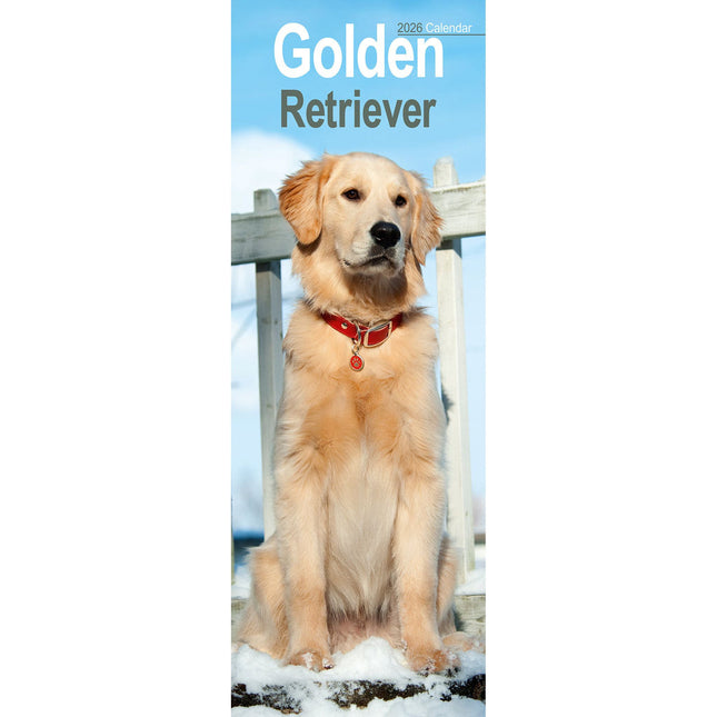 Avonside Golden Retriever Kalender 2026 Slimline