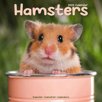Avonside Hamster Kalender 2027