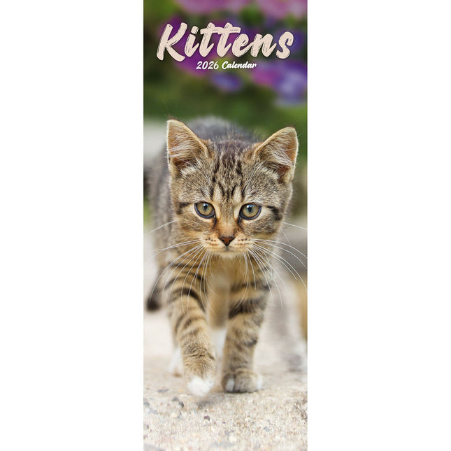 Avonside Kittens Kalender 2026 Slimline
