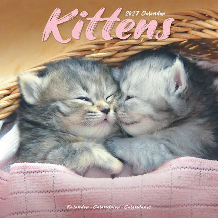 Avonside Kittens Kalender 2027