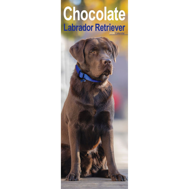 Avonside Labrador Retriever Bruin Kalender 2026 Slimline