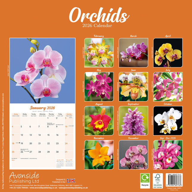 Avonside Orchidee Kalender 2026