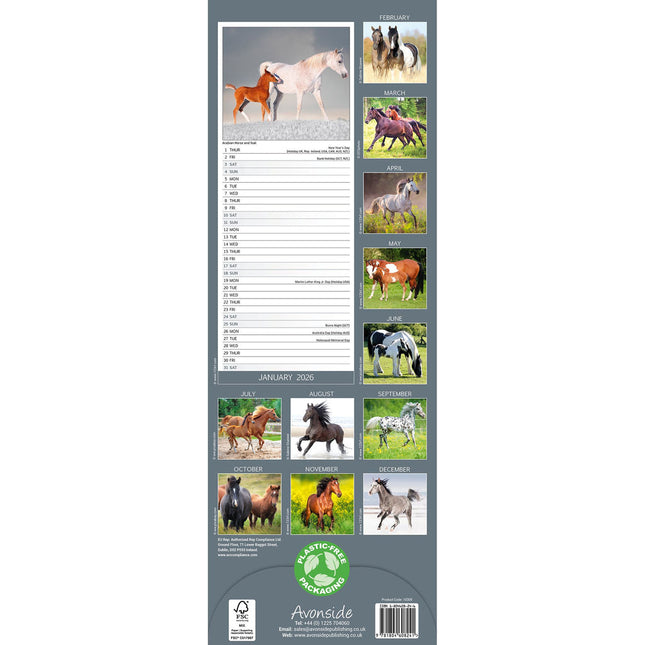 Avonside Paarden Kalender 2026 Slimline