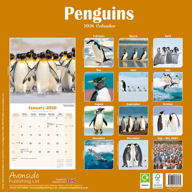 Avonside Pinguin Kalender 2026