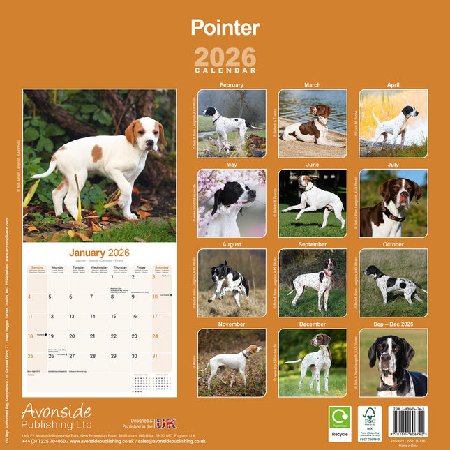 Avonside Pointer Kalender 2026