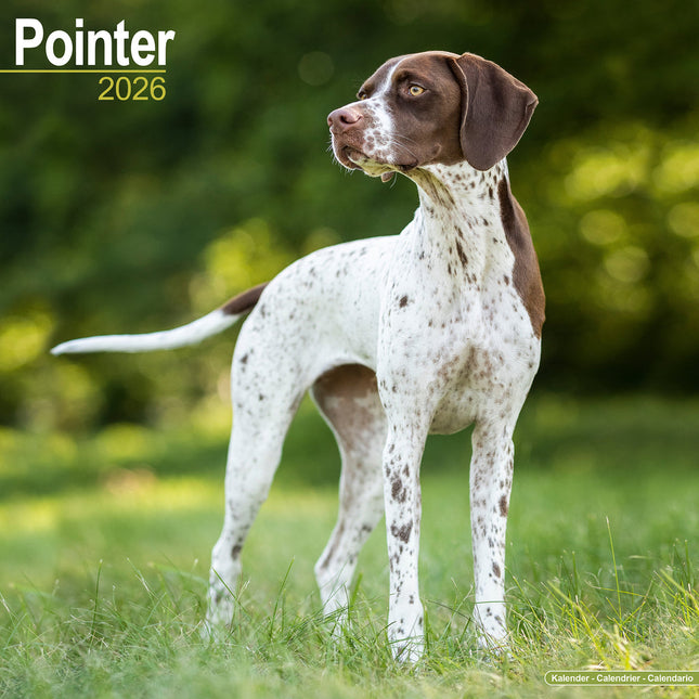 Avonside Pointer Kalender 2026