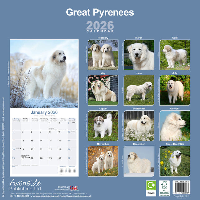 Avonside Pyreneese Berghond Kalender 2026