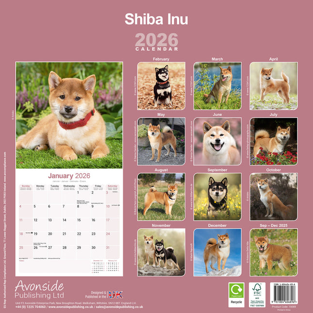Avonside Shiba Inu Kalender 2026