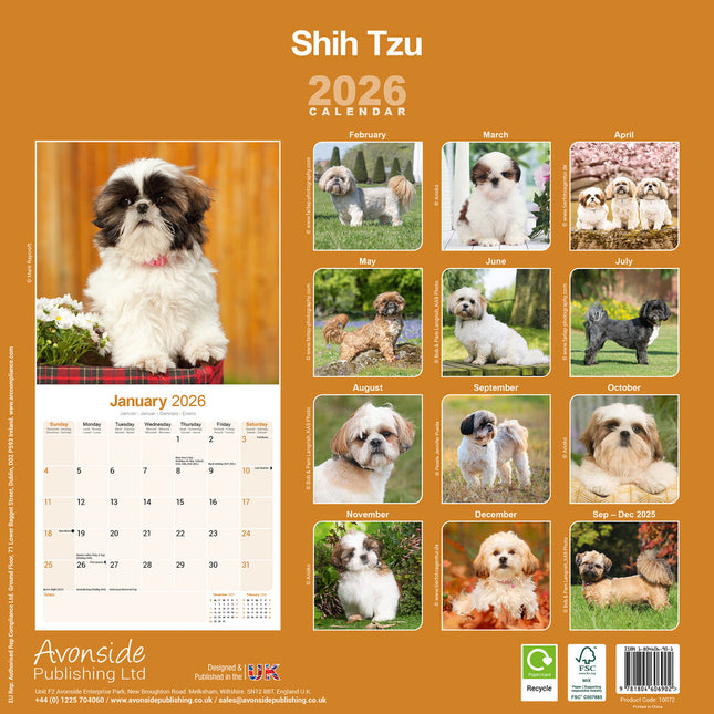 Avonside Shih Tzu Kalender 2026