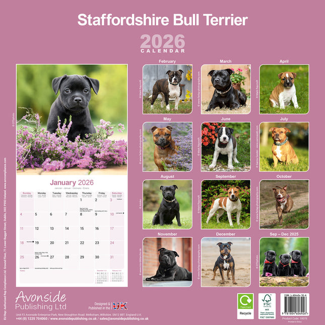 Avonside Staffordshire Bull Terrier Kalender 2026
