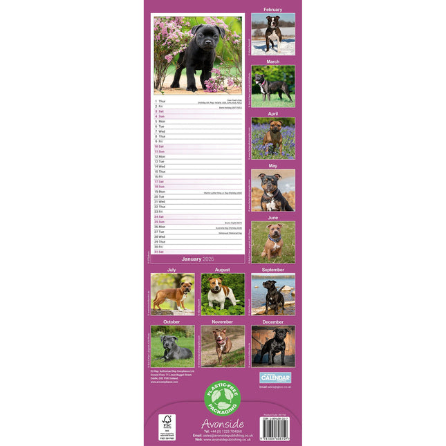 Avonside Staffordshire Bull Terrier Kalender 2026 Slimline