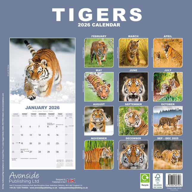 Avonside Tijger Kalender 2026