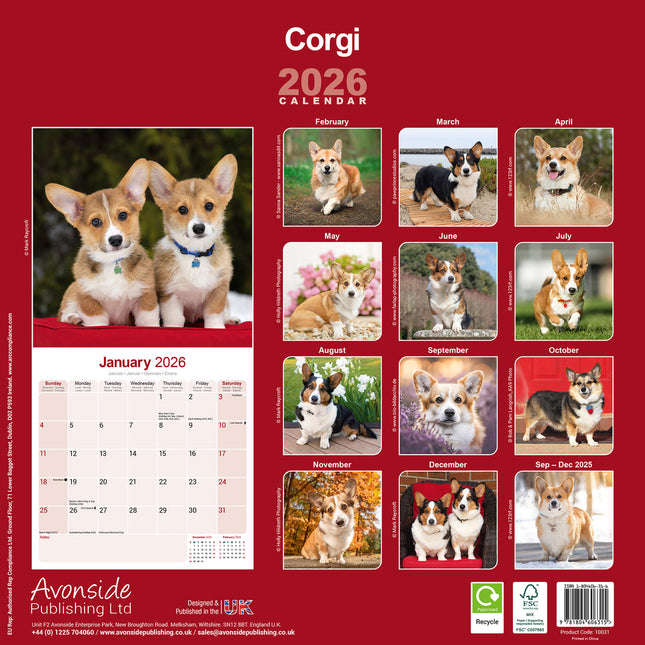 Avonside Welsh Corgi Kalender 2026