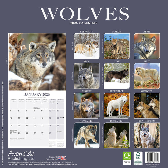 Avonside Wolven Kalender 2026