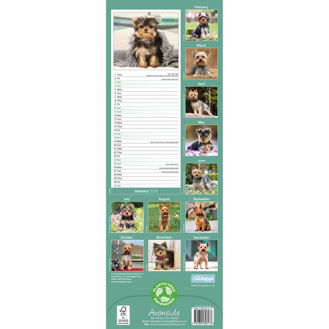 Avonside Yorkshire Terrier Kalender 2026 Slimline