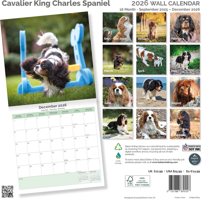 Baker & Bray Cavalier King Charles Spaniel Kalender 2026