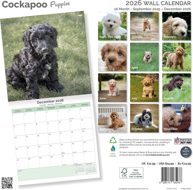 Baker & Bray Cockapoo Puppies Kalender 2026