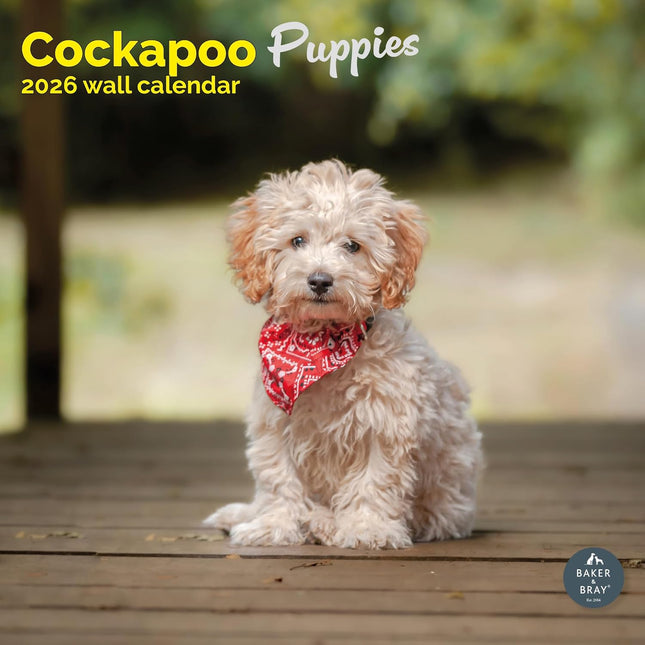 Baker & Bray Cockapoo Puppies Kalender 2026