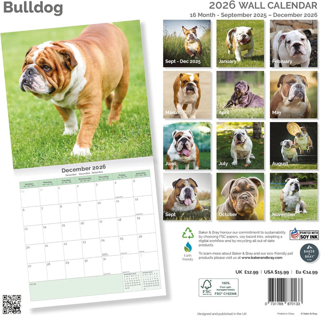 Baker & Bray Engelse Bulldog Kalender 2026