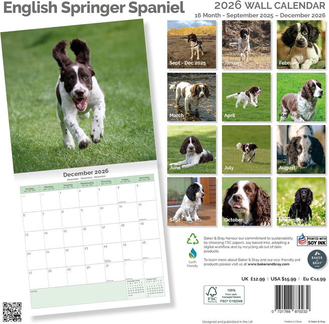 Baker & Bray Engelse Springer Spaniel Kalender 2026