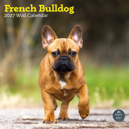 Baker & Bray Franse Bulldog Kalender 2027