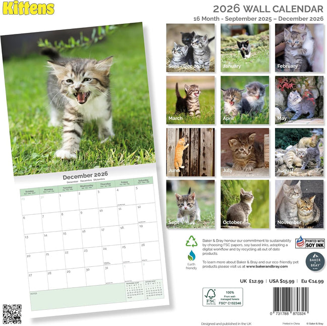 Baker & Bray Kittens Kalender 2026