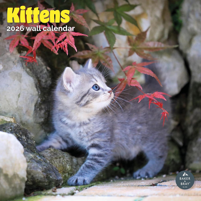 Baker & Bray Kittens Kalender 2026
