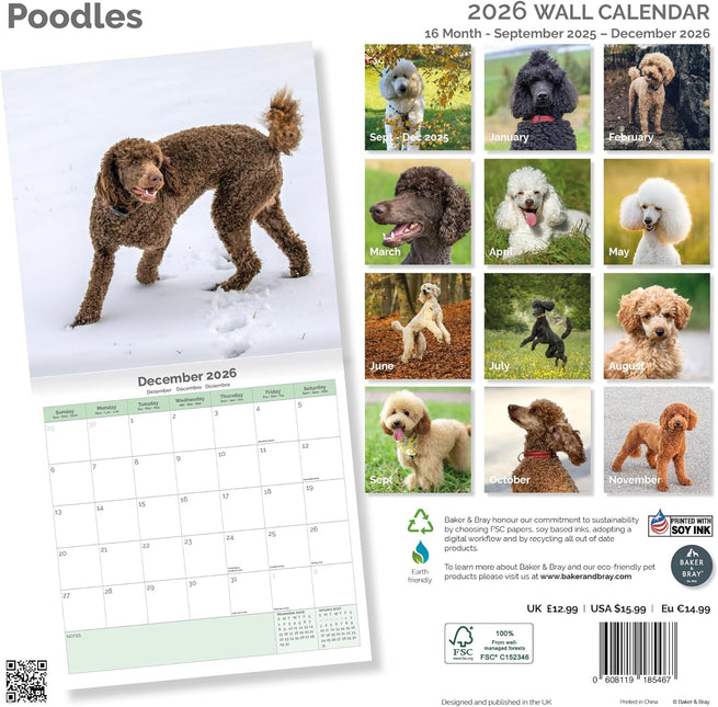 Baker & Bray Poedel Kalender 2026