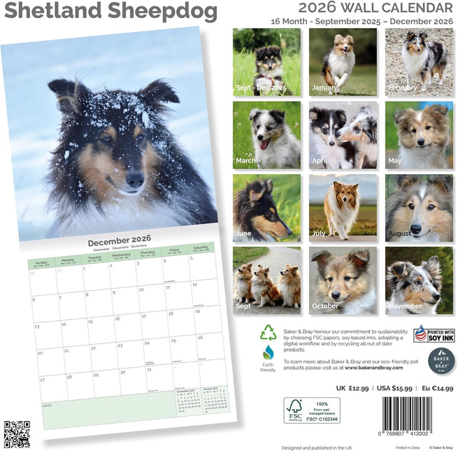 Baker & Bray Shetland Sheepdog Kalender 2026
