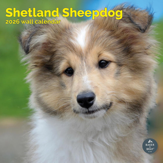 Baker & Bray Shetland Sheepdog Kalender 2026