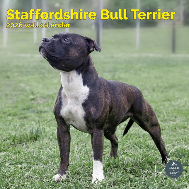 Baker & Bray Staffordshire Bull Terrier Kalender 2026