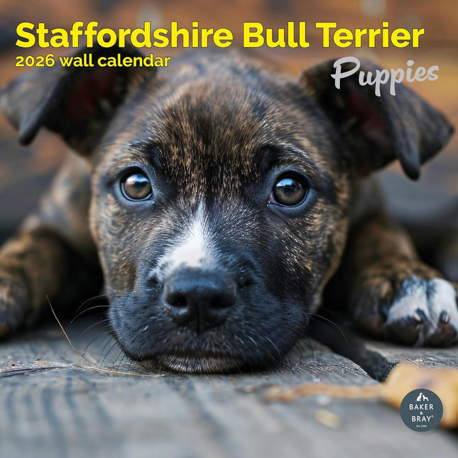 Baker & Bray Staffordshire Bull Terrier Puppies Kalender 2026
