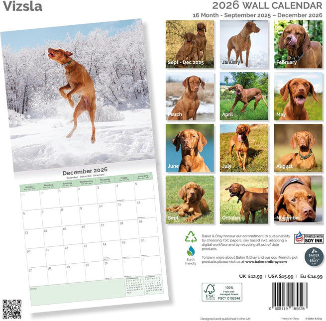 Baker & Bray Vizsla Kalender 2026